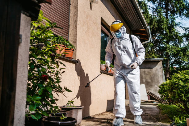 Best Bed Bug Extermination  in Paradise, CA