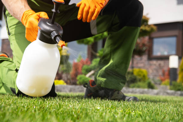 Trusted Paradise, CA Pest Control Experts
